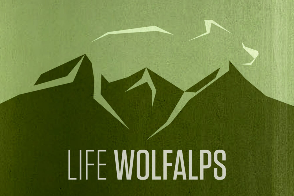 Brand Identity - Life Wolfalps
